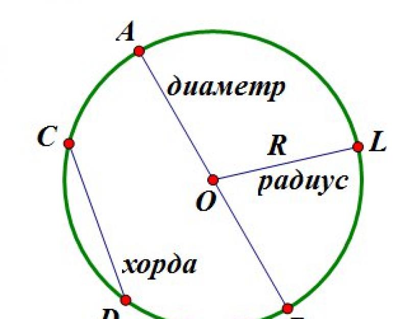 Рисунок радиус хорда диаметр. Окружность радиус диаметр хорда дуга круг. Окружность радиус диаметр хорда дуга. Окружность круг радиус диаметр хорда. Окружность диаметр радиус хорда и дуга окружности.